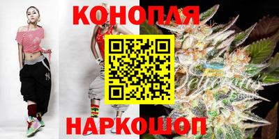 mdpv Новодвинск
