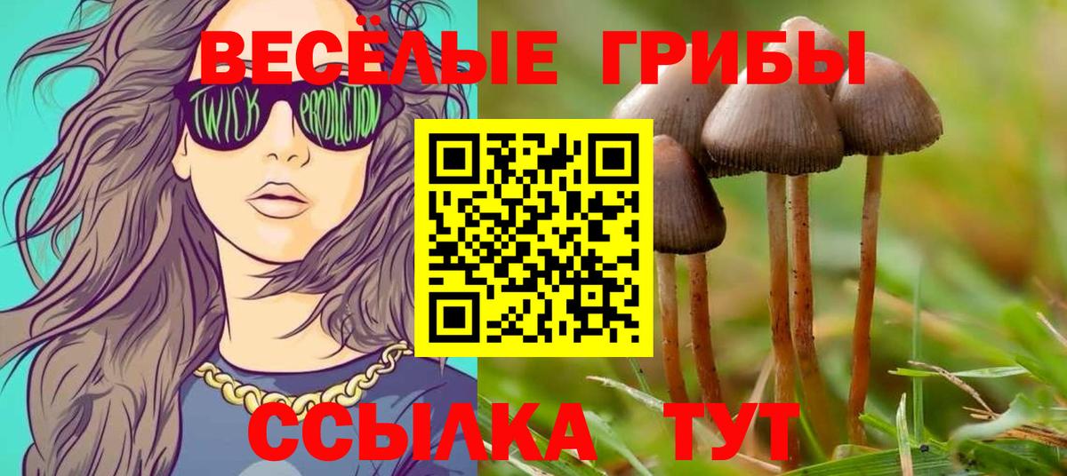 Галлюциногенные грибы мухоморы  Вход с VPN  Сертолово 