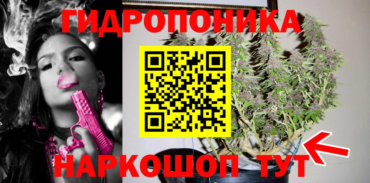 Канабис OG Kush Сертолово