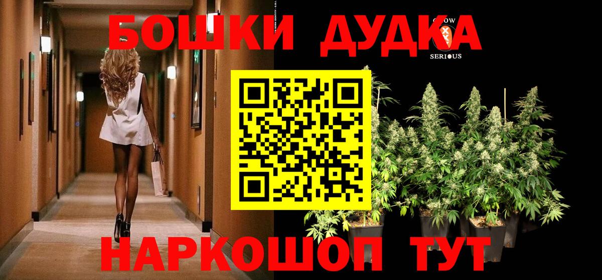 Сертолово  Канабис ГИДРОПОН  Вход с VPN  Шишки марихуана планчик  Марихуана планчик  Канабис план 